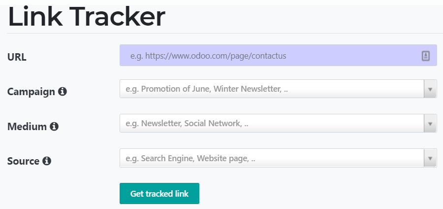View of the link tracker fields for PerfectWORK Website