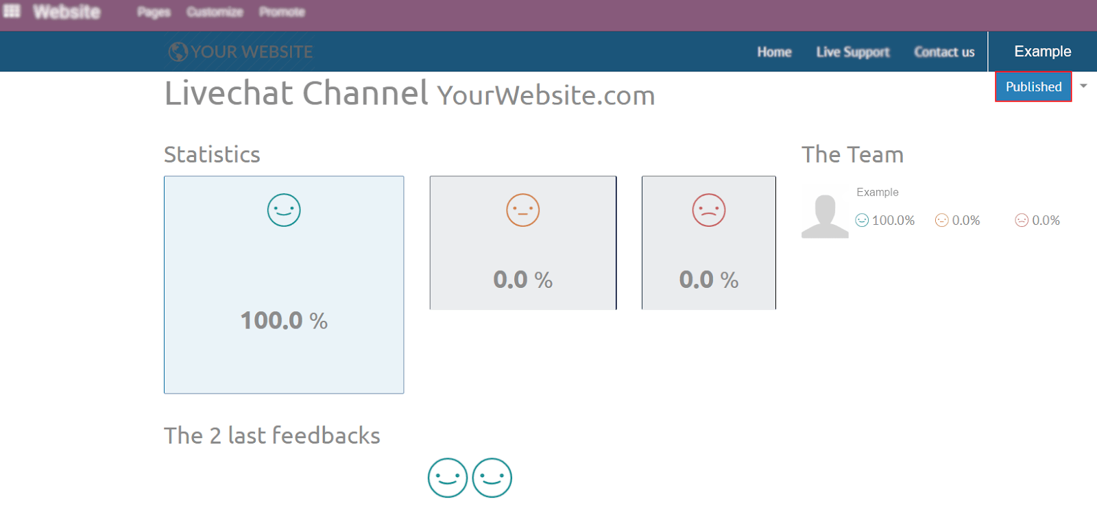 View of the public ratings in the website for PerfectWORK Live Chat